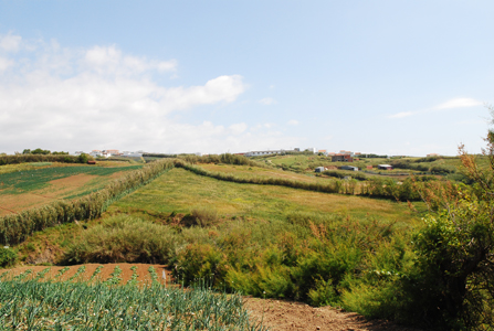 Campos agrícolas